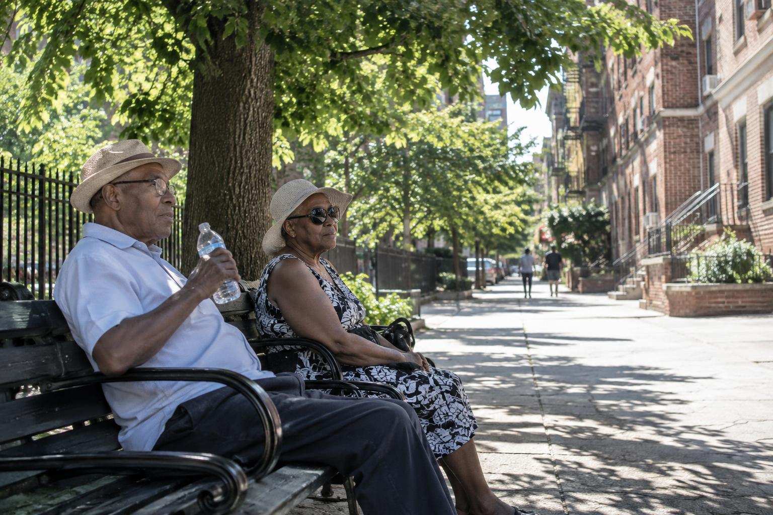 Two older residents sit beneath street trees beside a sunlit sidewalk and apartment buildings.